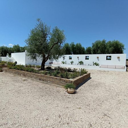San Martino in Pensilis Tenuta Viale Degli Ulivi מראה חיצוני תמונה