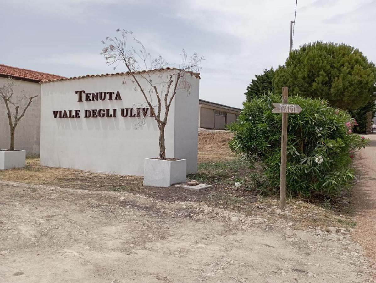 San Martino in Pensilis Tenuta Viale Degli Ulivi מראה חיצוני תמונה