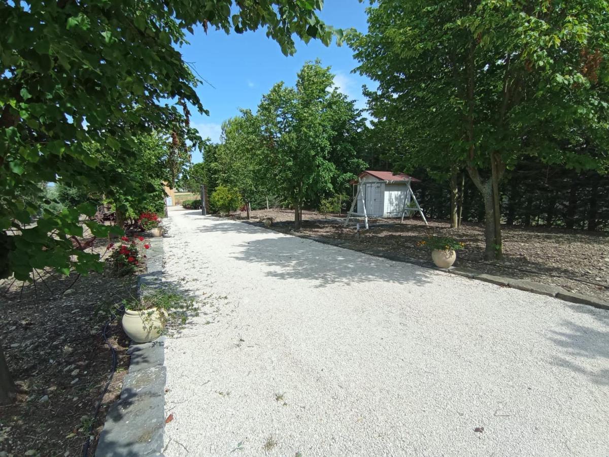 San Martino in Pensilis Tenuta Viale Degli Ulivi מראה חיצוני תמונה