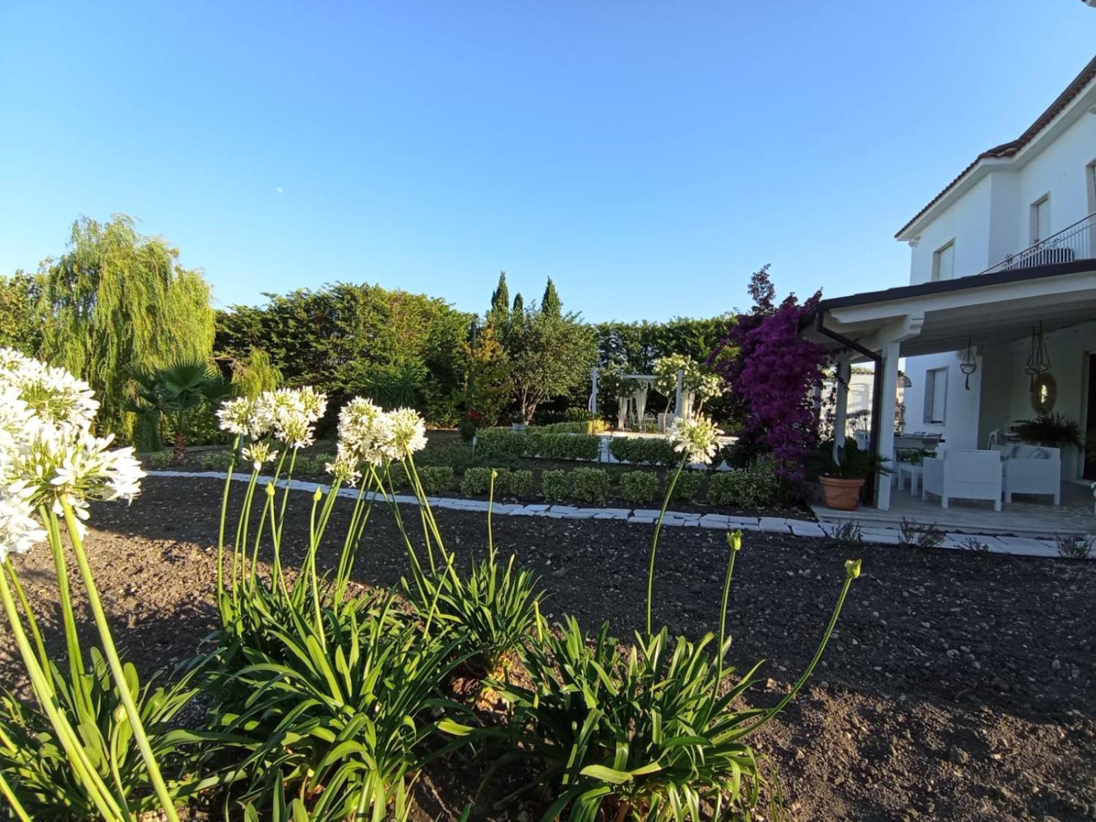 San Martino in Pensilis Tenuta Viale Degli Ulivi מראה חיצוני תמונה