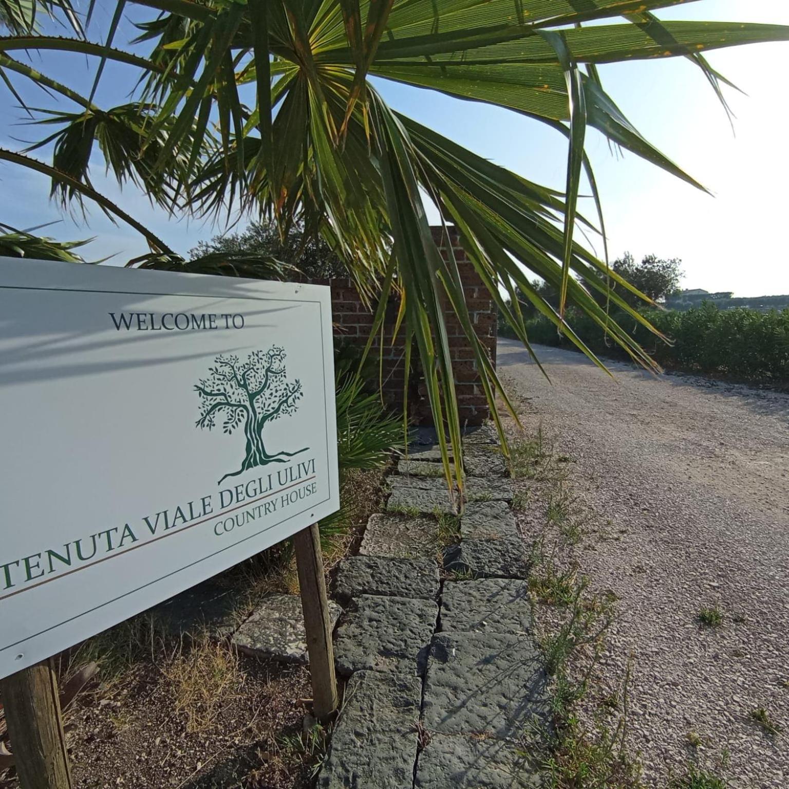 San Martino in Pensilis Tenuta Viale Degli Ulivi מראה חיצוני תמונה
