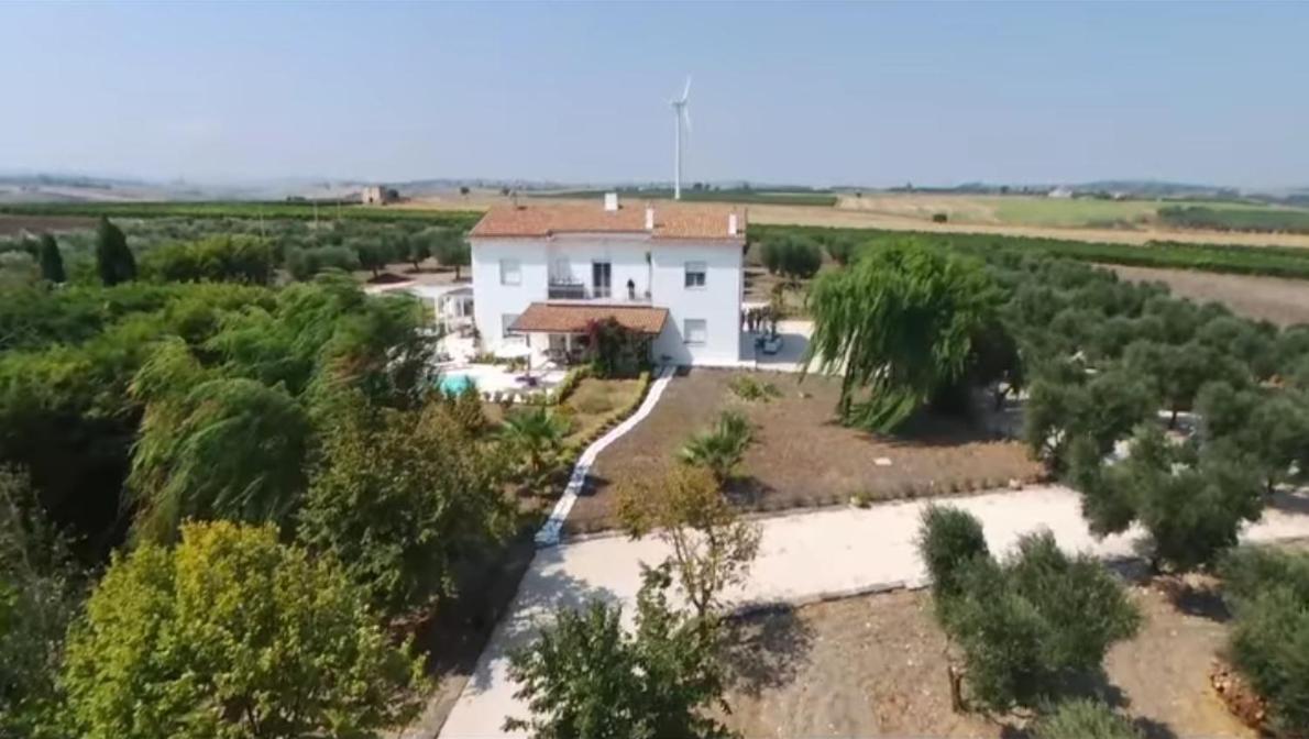 San Martino in Pensilis Tenuta Viale Degli Ulivi מראה חיצוני תמונה