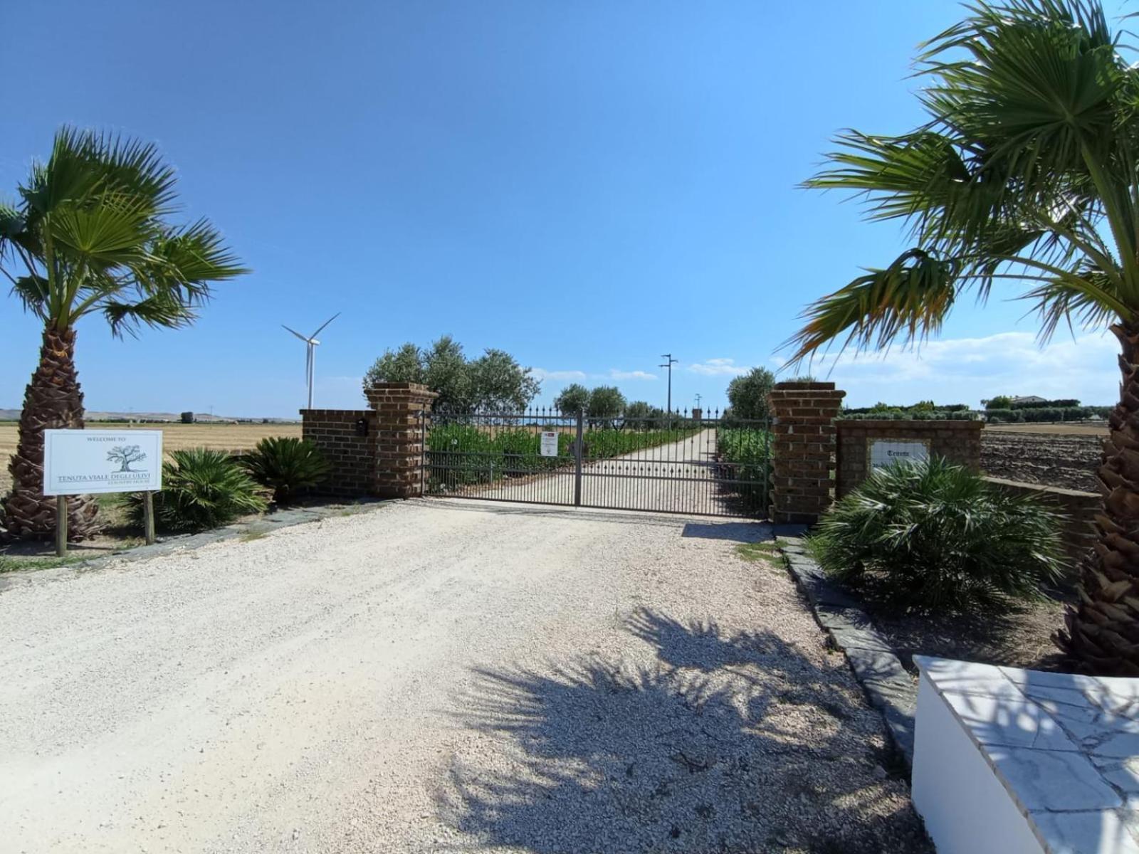 San Martino in Pensilis Tenuta Viale Degli Ulivi מראה חיצוני תמונה
