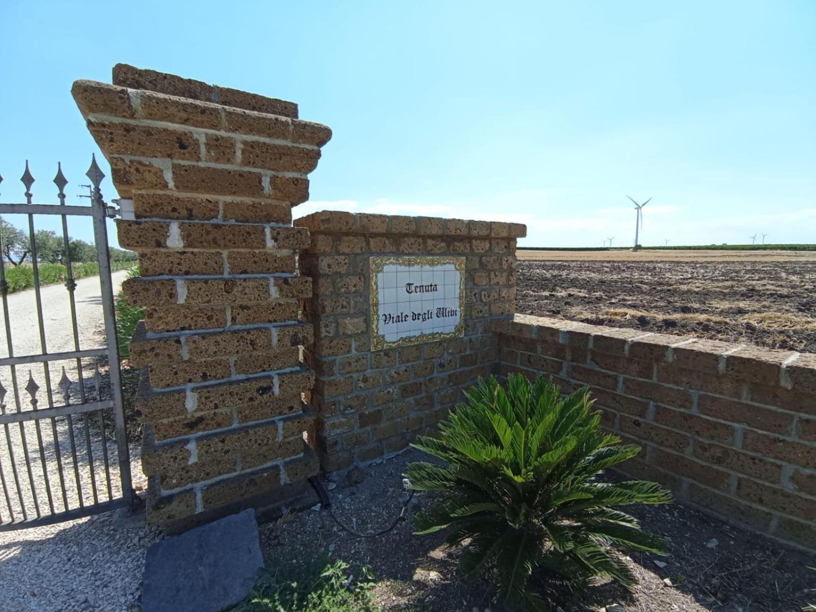 San Martino in Pensilis Tenuta Viale Degli Ulivi מראה חיצוני תמונה