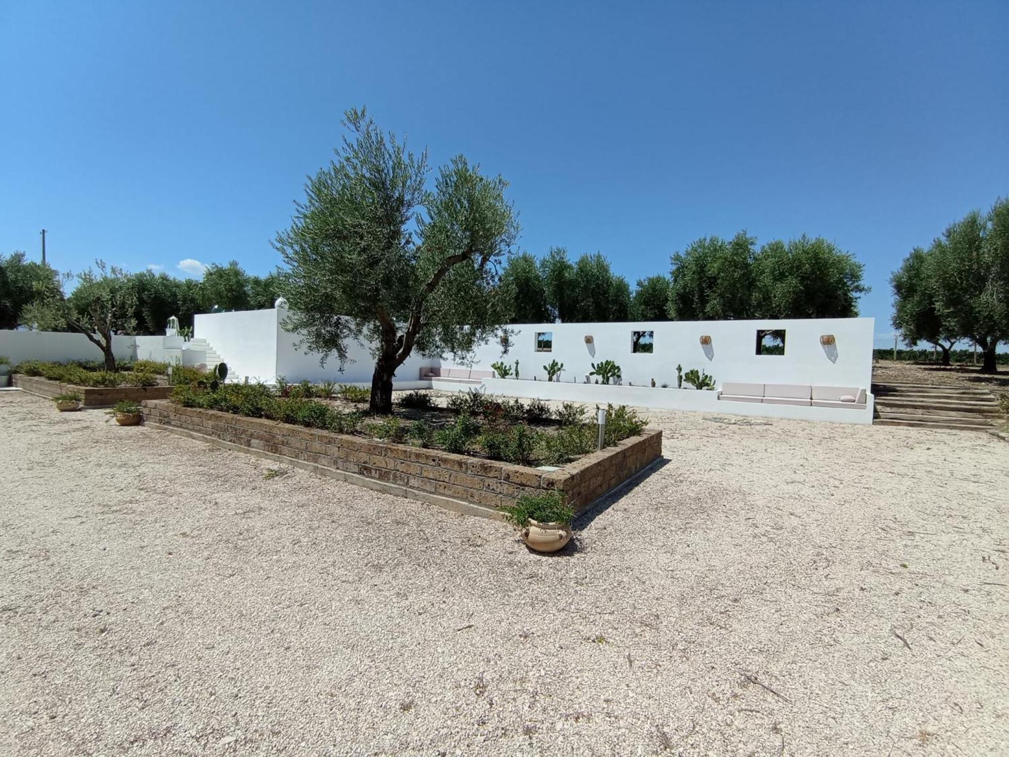 San Martino in Pensilis Tenuta Viale Degli Ulivi מראה חיצוני תמונה