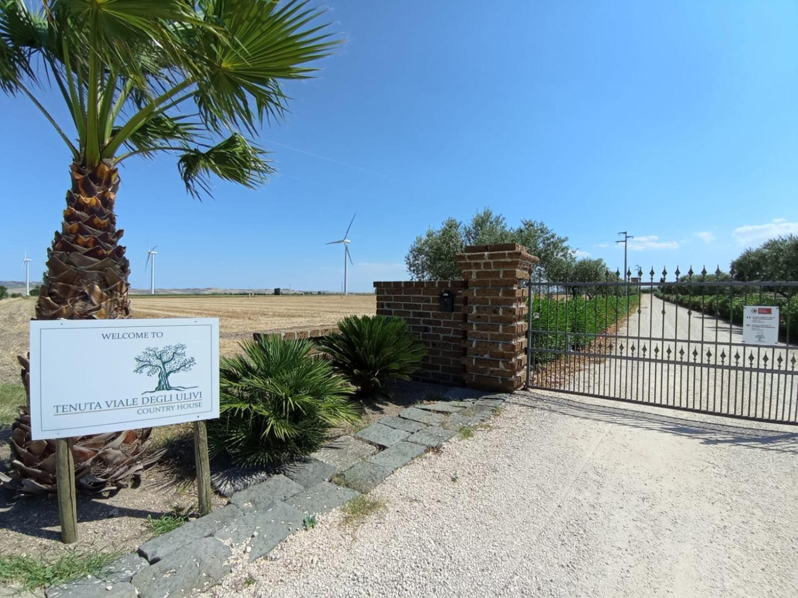 San Martino in Pensilis Tenuta Viale Degli Ulivi מראה חיצוני תמונה