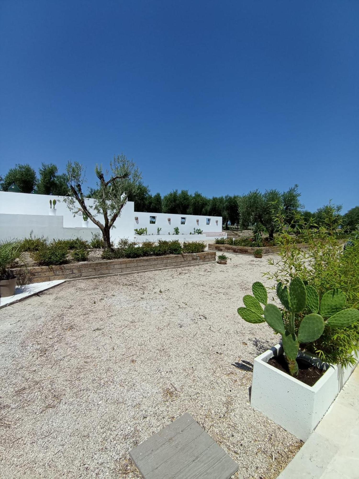 San Martino in Pensilis Tenuta Viale Degli Ulivi מראה חיצוני תמונה