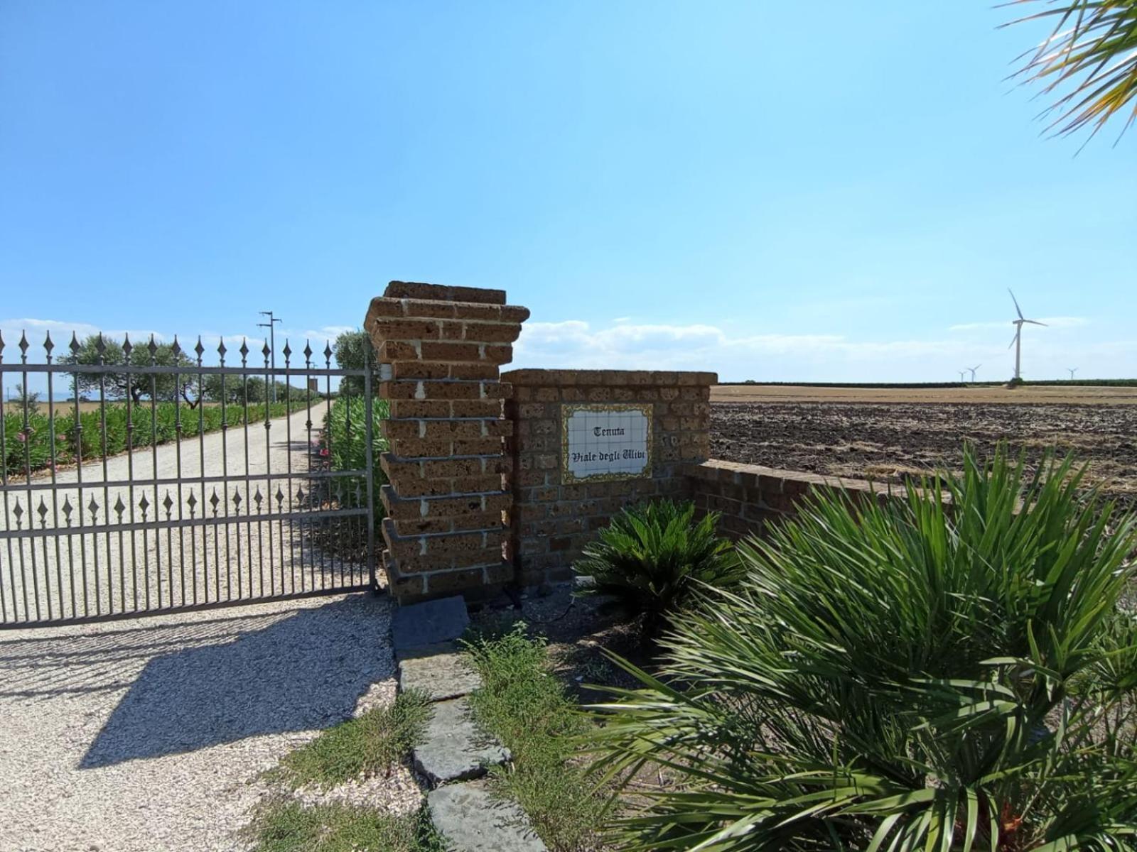 San Martino in Pensilis Tenuta Viale Degli Ulivi מראה חיצוני תמונה