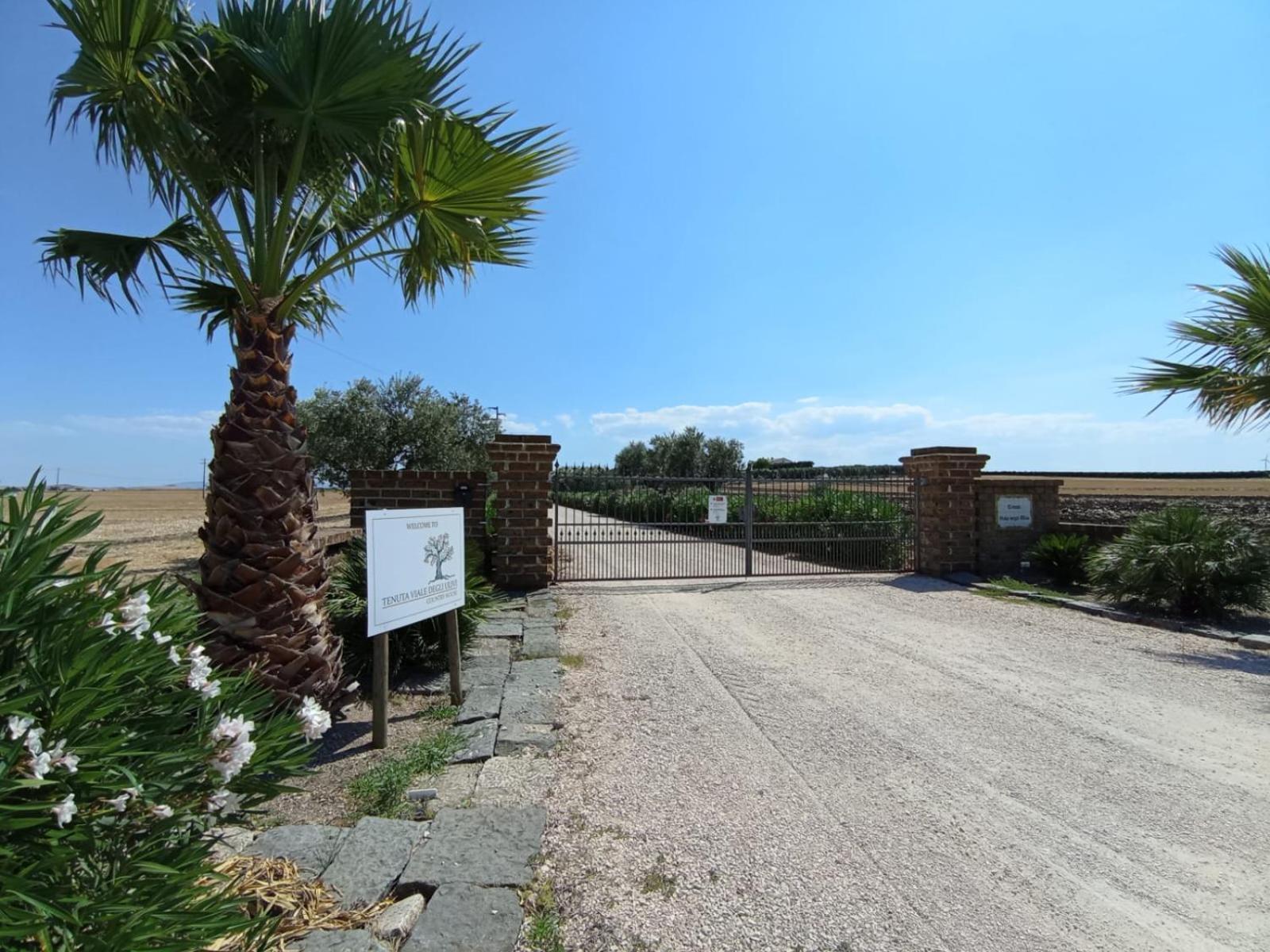 San Martino in Pensilis Tenuta Viale Degli Ulivi מראה חיצוני תמונה