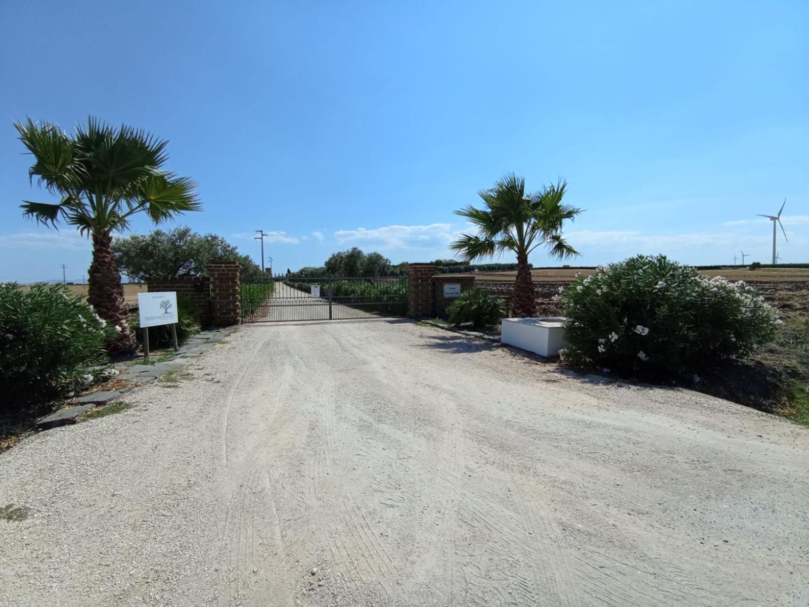 San Martino in Pensilis Tenuta Viale Degli Ulivi מראה חיצוני תמונה
